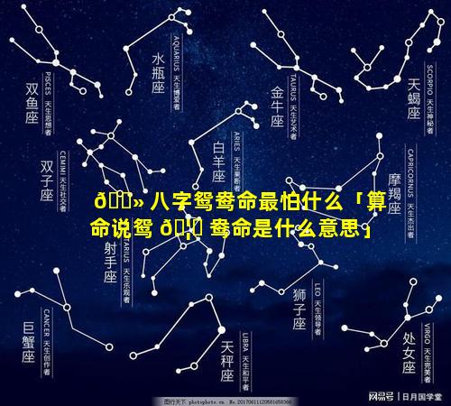 🌻 八字鸳鸯命最怕什么「算命说鸳 🦉 鸯命是什么意思」